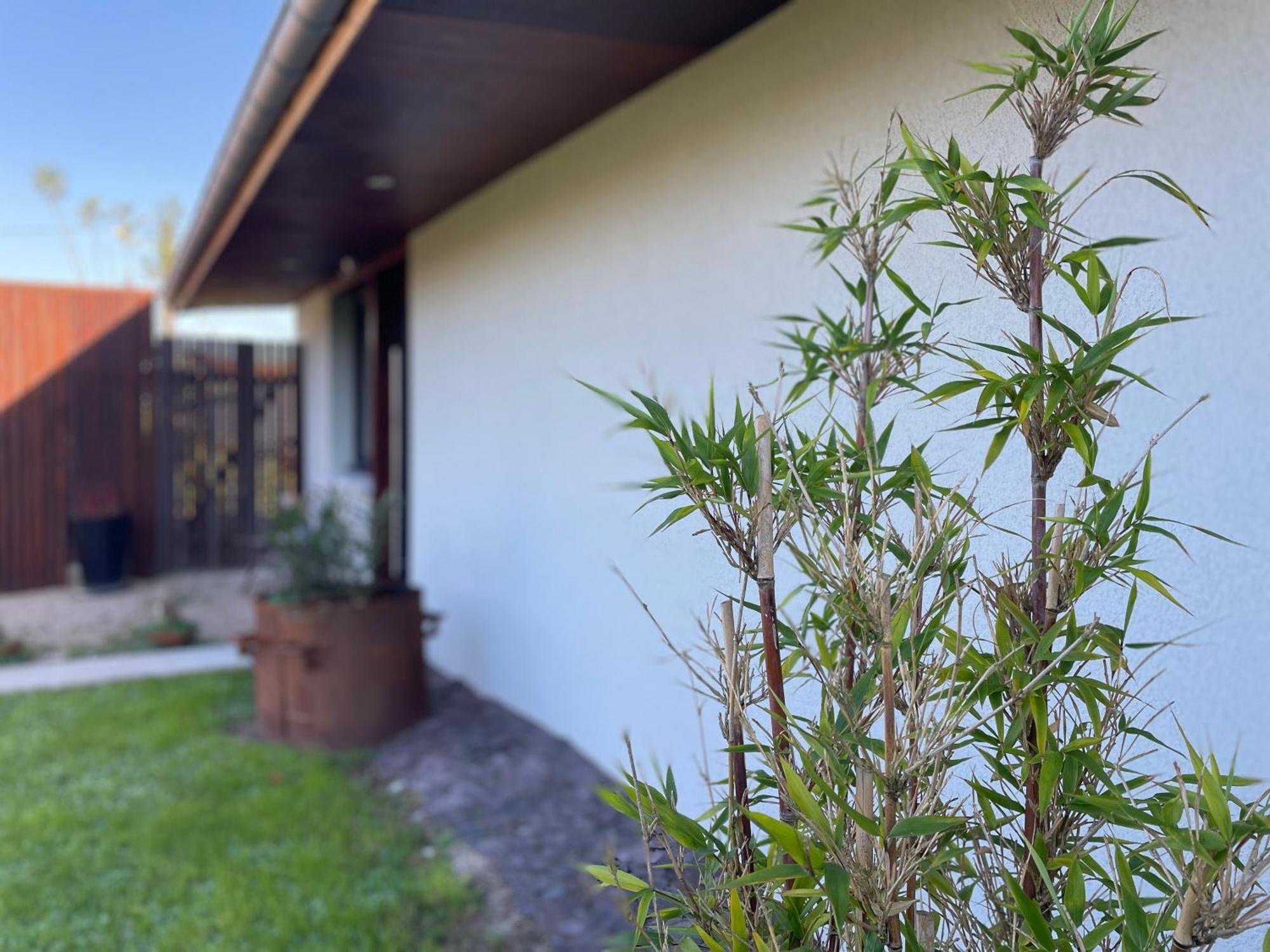 Yanna Lodge, Gite Classe 4 Etoiles Avec Spa Couvert Entierement Arrest Exterior foto